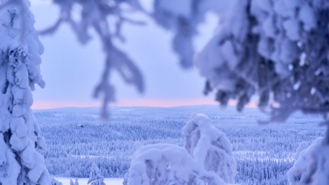 Snow-covered trees overlook a vast winter landscape.